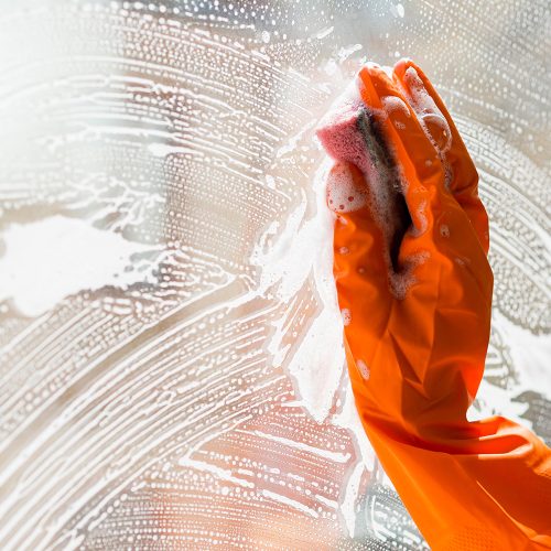 windowCleaning windowCleaning